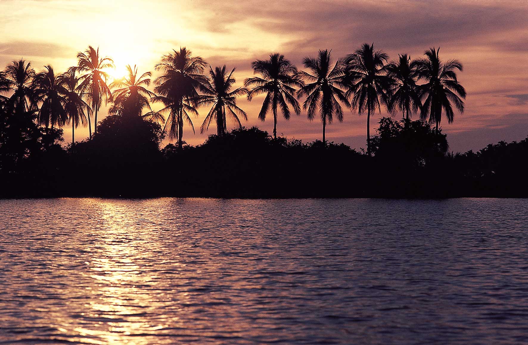 Palmeras y atardecer en Veracruz